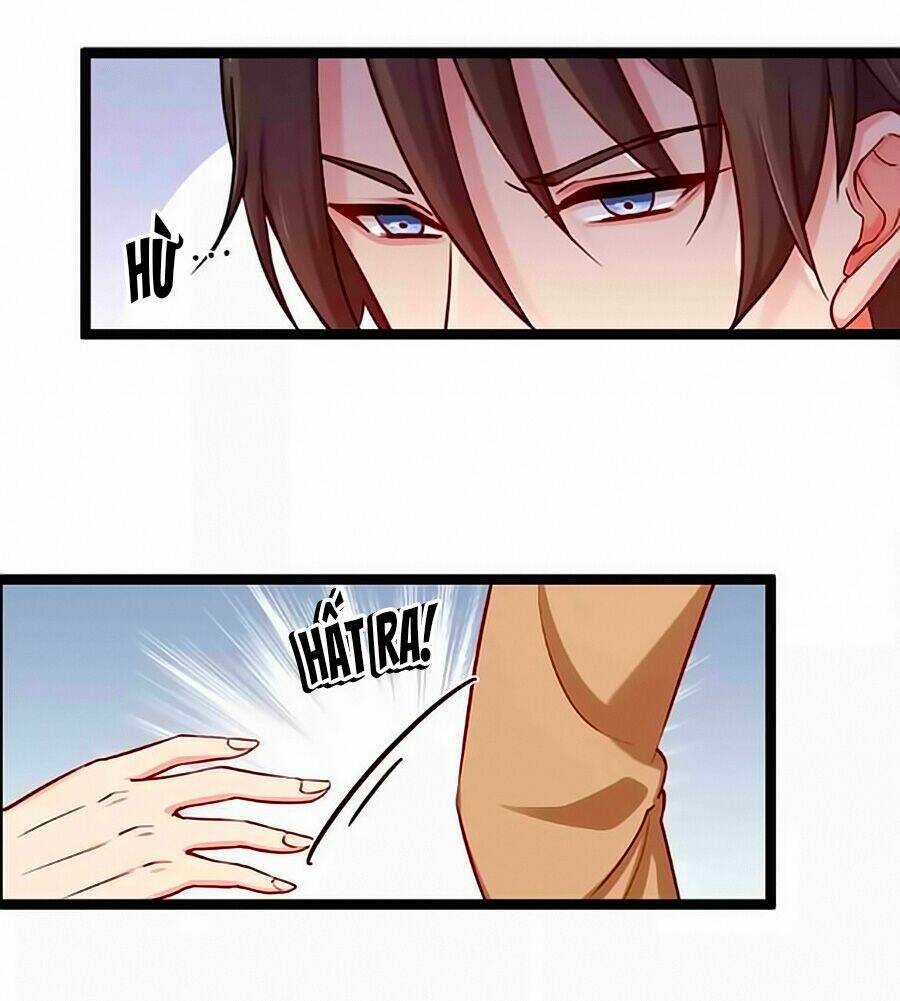 Chỉ Nhiễm Thành Hôn - Chapter 146 - Trang 5