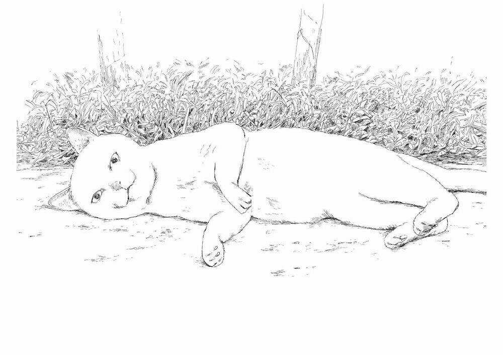 Chi No Wadachi - Chapter 95 - Trang 19