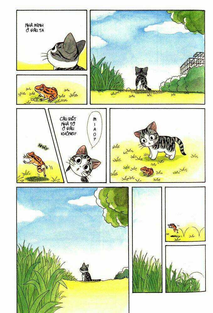 Chi's Sweet Home - Chapter 1 - Trang 6