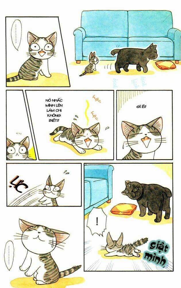 Chi's Sweet Home - Chapter 29 - Trang 3