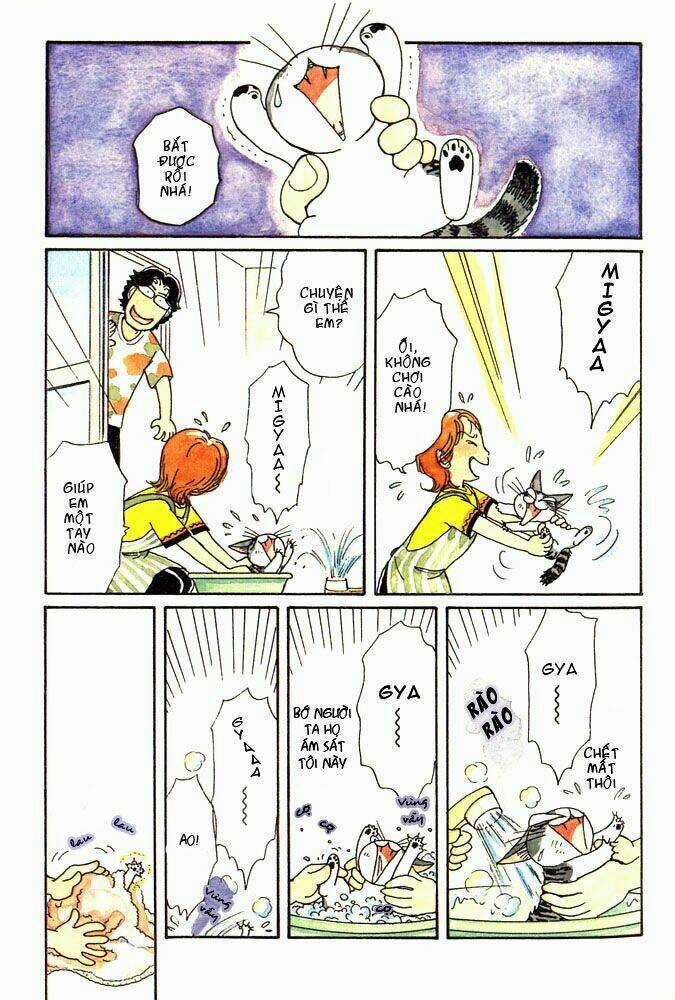 Chi's Sweet Home - Chapter 3 - Trang 5