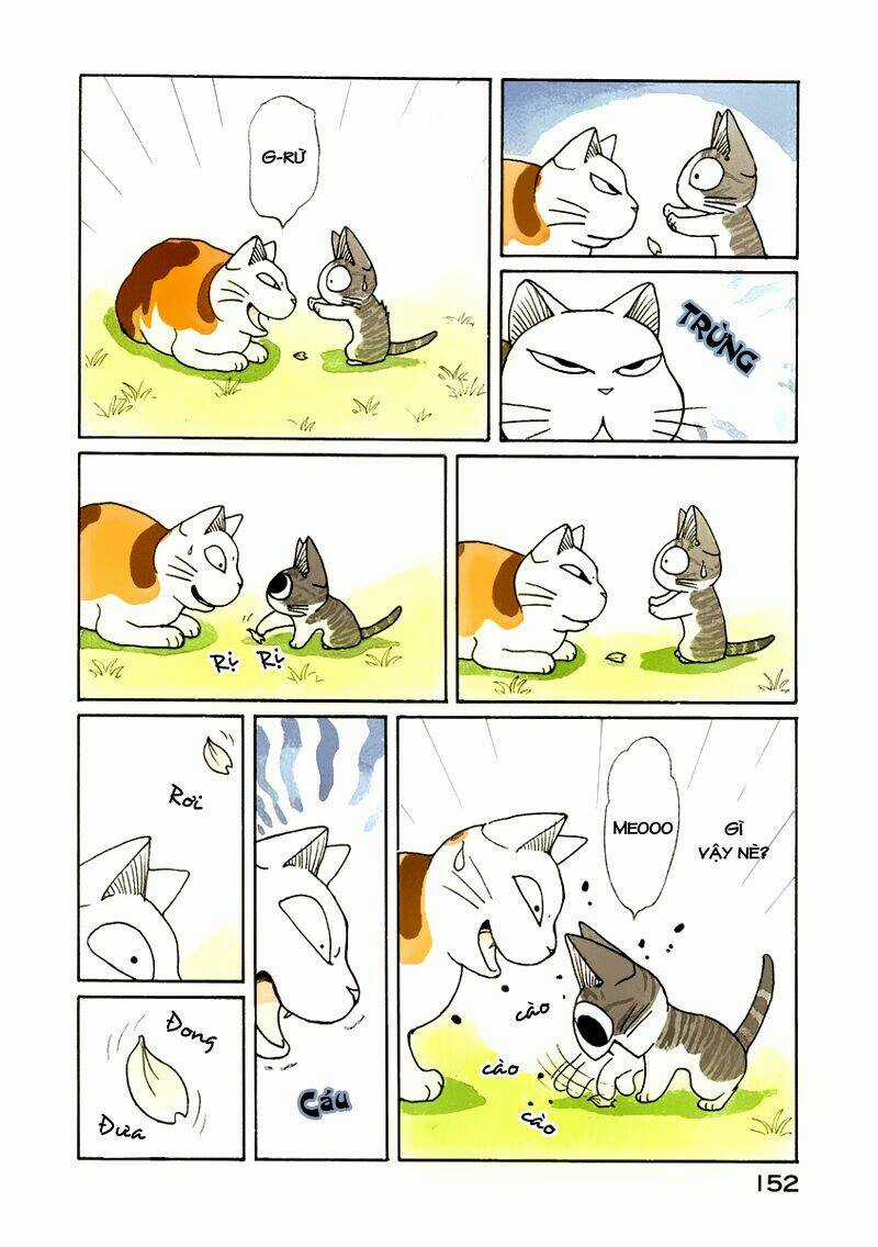 Chi's Sweet Home - Chapter 38 - Trang 15