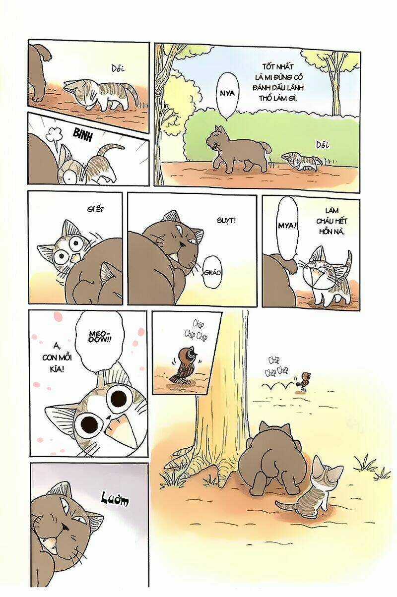 Chi's Sweet Home - Chapter 39 - Trang 11