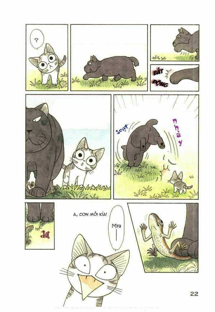 Chi's Sweet Home - Chapter 41 - Trang 4