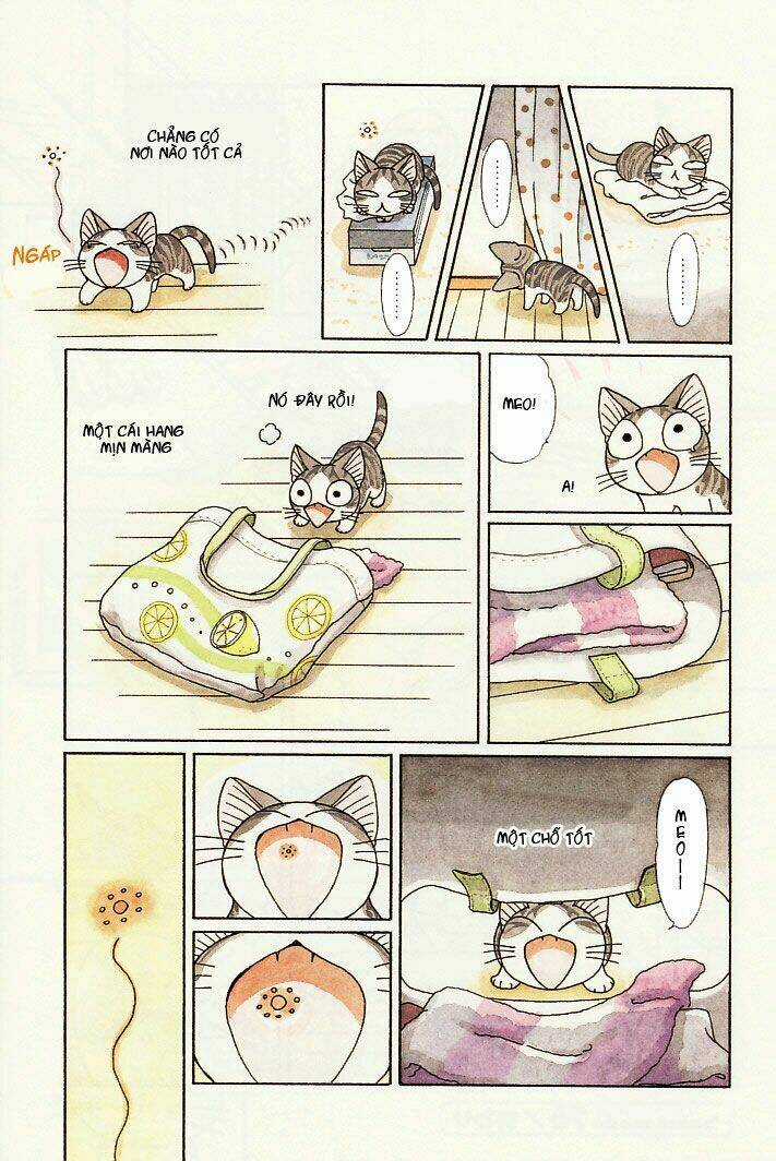 Chi's Sweet Home - Chapter 76 - Trang 8