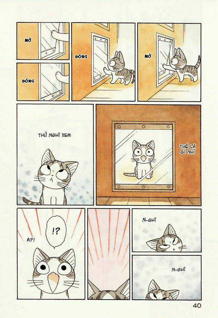 Chi's Sweet Home - Chapter 79 - Trang 7