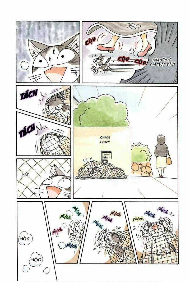 Chi's Sweet Home - Chapter 90 - Trang 7