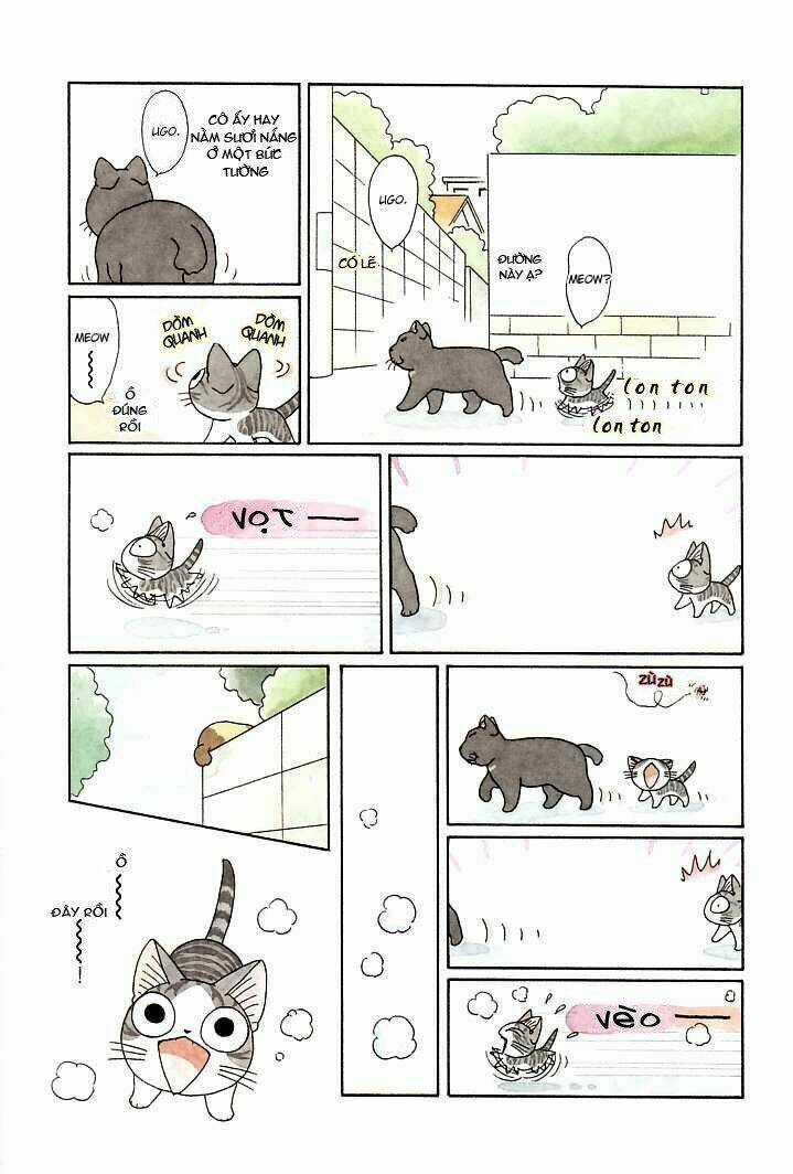 Chi's Sweet Home - Chapter 92 - Trang 3