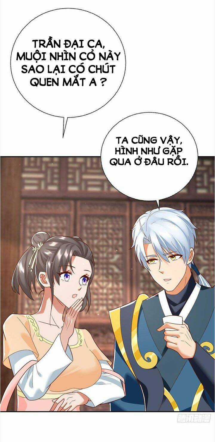 Chí Tôn Trọng Sinh - Chapter 207 - Trang 26
