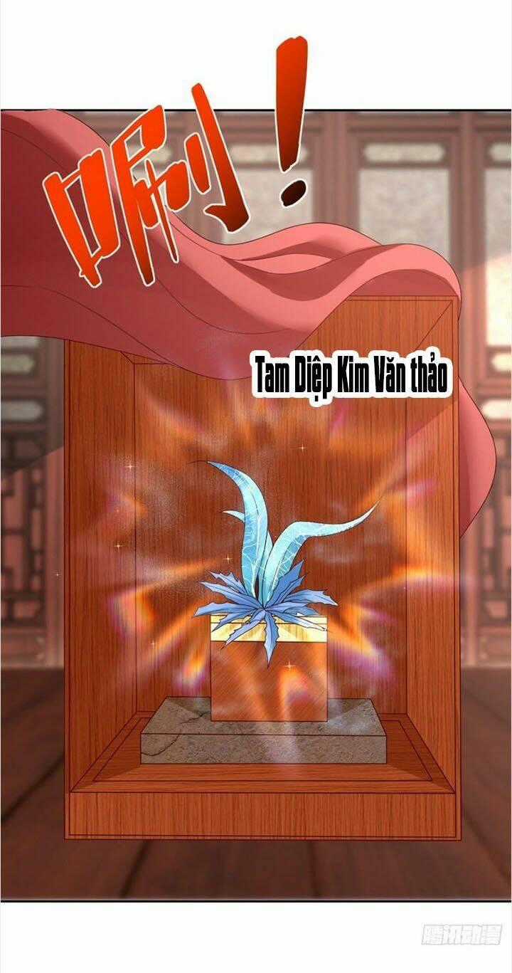 Chí Tôn Trọng Sinh - Chapter 207 - Trang 35