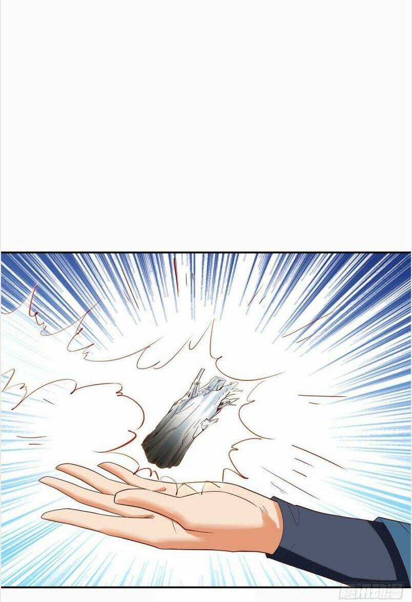 Chí Tôn Trọng Sinh - Chapter 210 - Trang 41