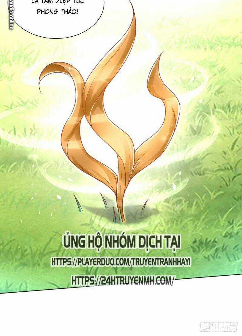Chí Tôn Trọng Sinh - Chapter 88 - Trang 34
