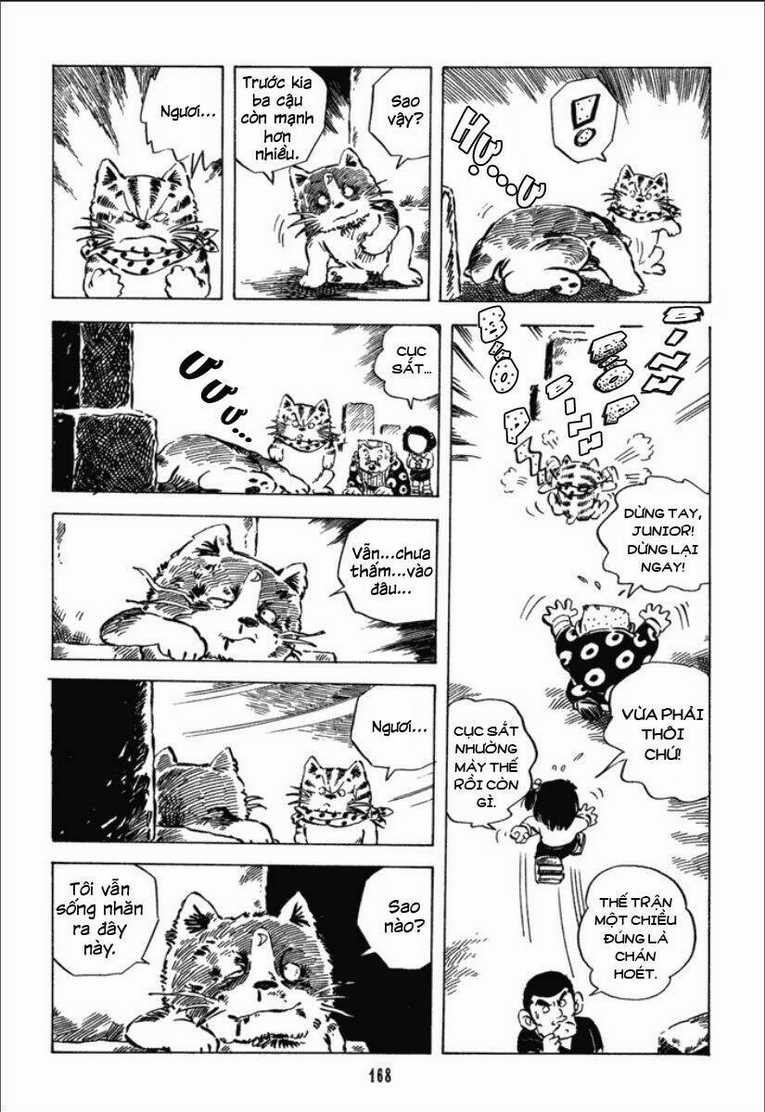 Chie - Cô Bé Hạt Tiêu - Chapter 20 - Trang 21