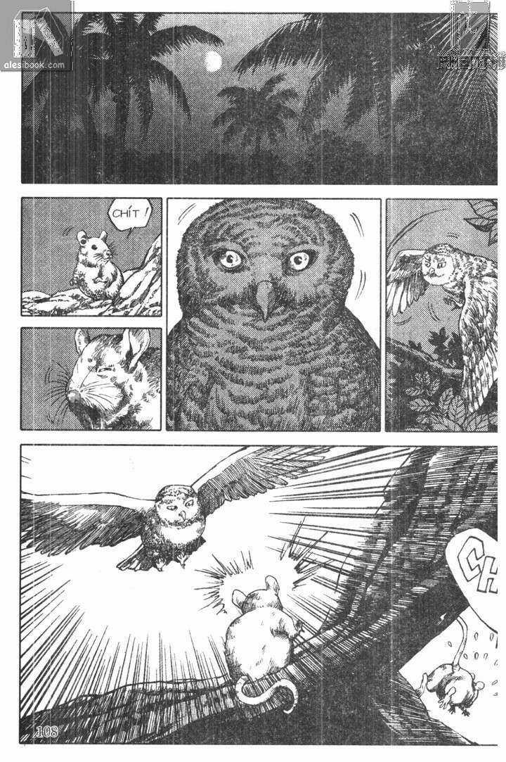 Chiếc Lược Ngà - Chapter 5 - Trang 10