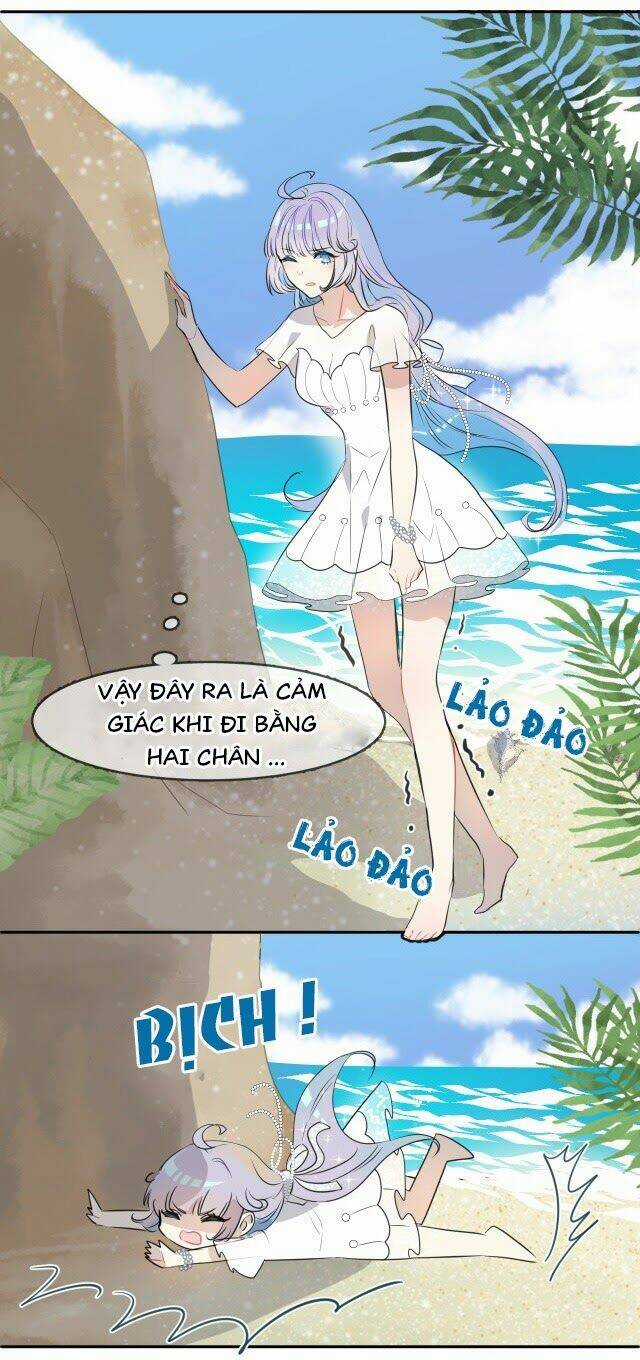 Chiếc Váy Của Người Cá - Chapter 1 - Trang 14