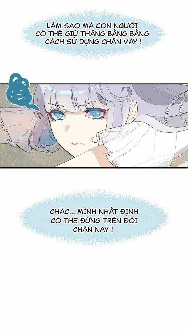 Chiếc Váy Của Người Cá - Chapter 1 - Trang 15