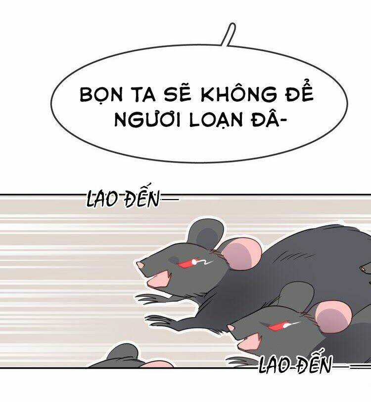 Chiếc Váy Của Người Cá - Chapter 10 - Trang 17