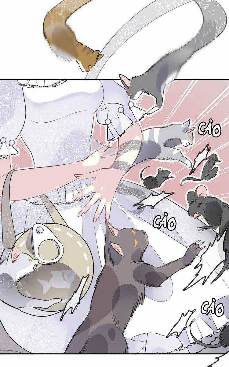 Chiếc Váy Của Người Cá - Chapter 10 - Trang 23