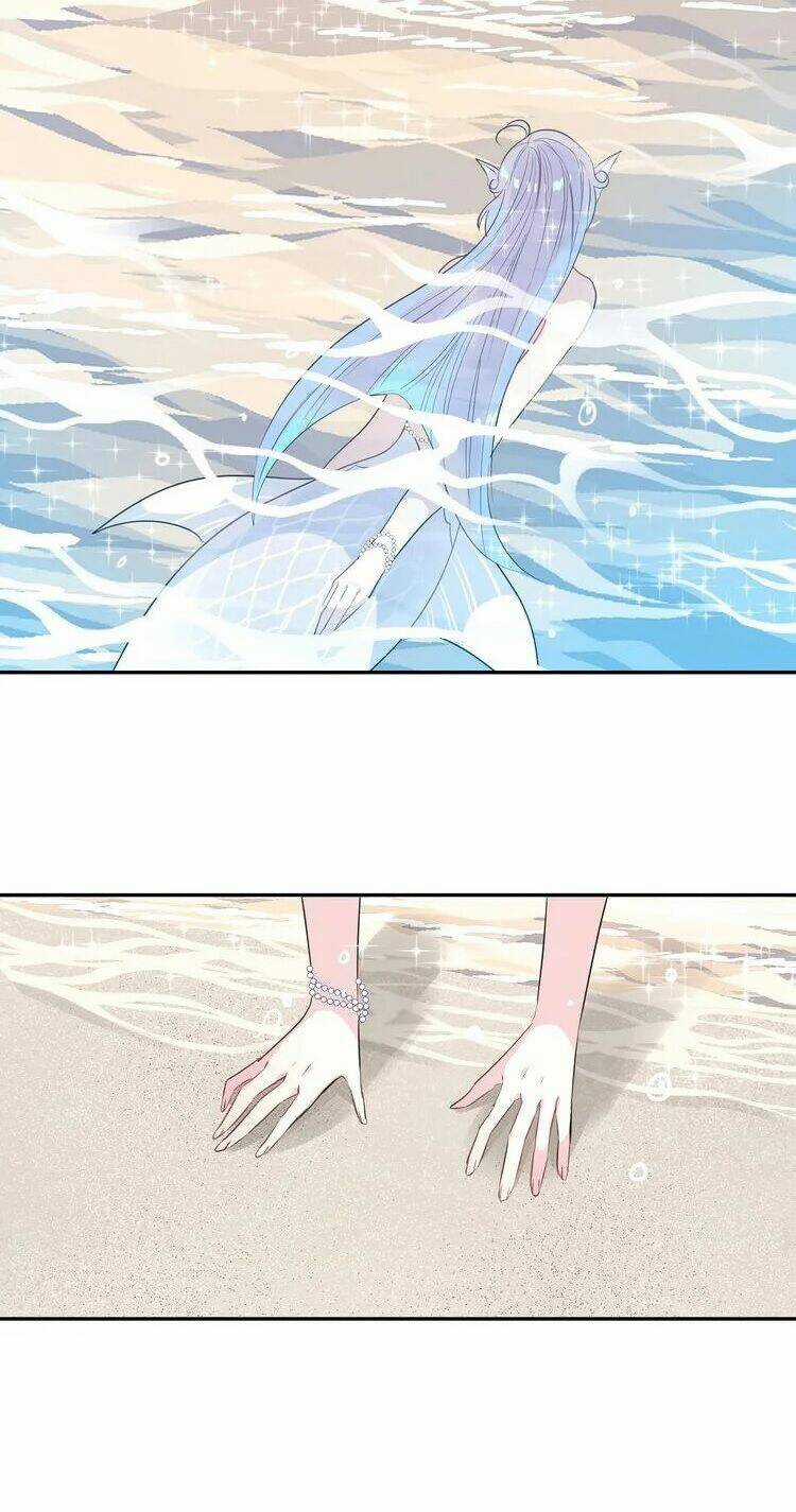 Chiếc Váy Của Người Cá - Chapter 17 - Trang 4