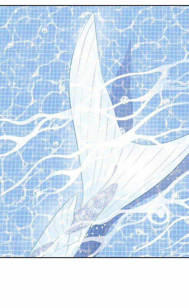 Chiếc Váy Của Người Cá - Chapter 2 - Trang 4