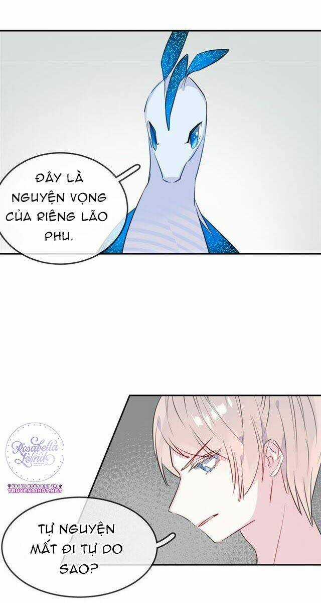 Chiếc Váy Của Người Cá - Chapter 21 - Trang 11