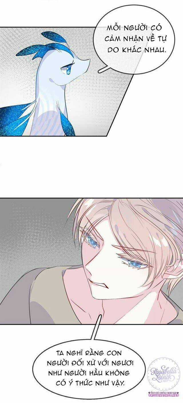 Chiếc Váy Của Người Cá - Chapter 21 - Trang 12