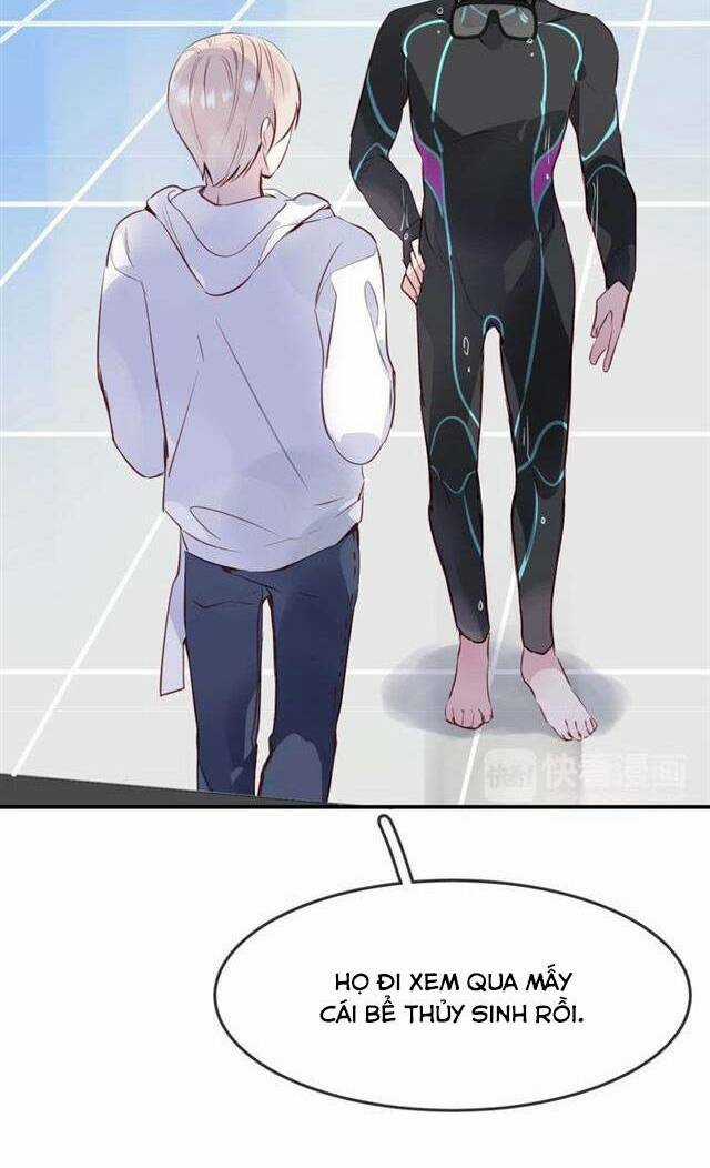 Chiếc Váy Của Người Cá - Chapter 35 - Trang 5