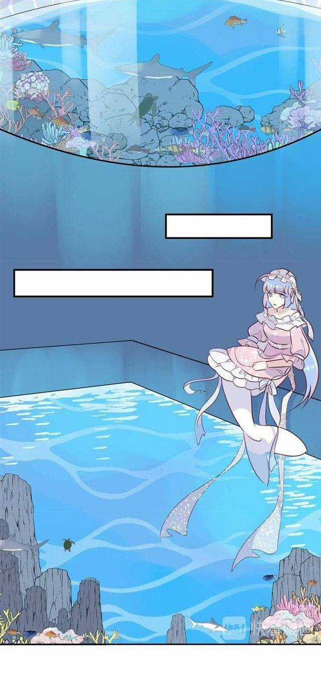 Chiếc Váy Của Người Cá - Chapter 41 - Trang 29