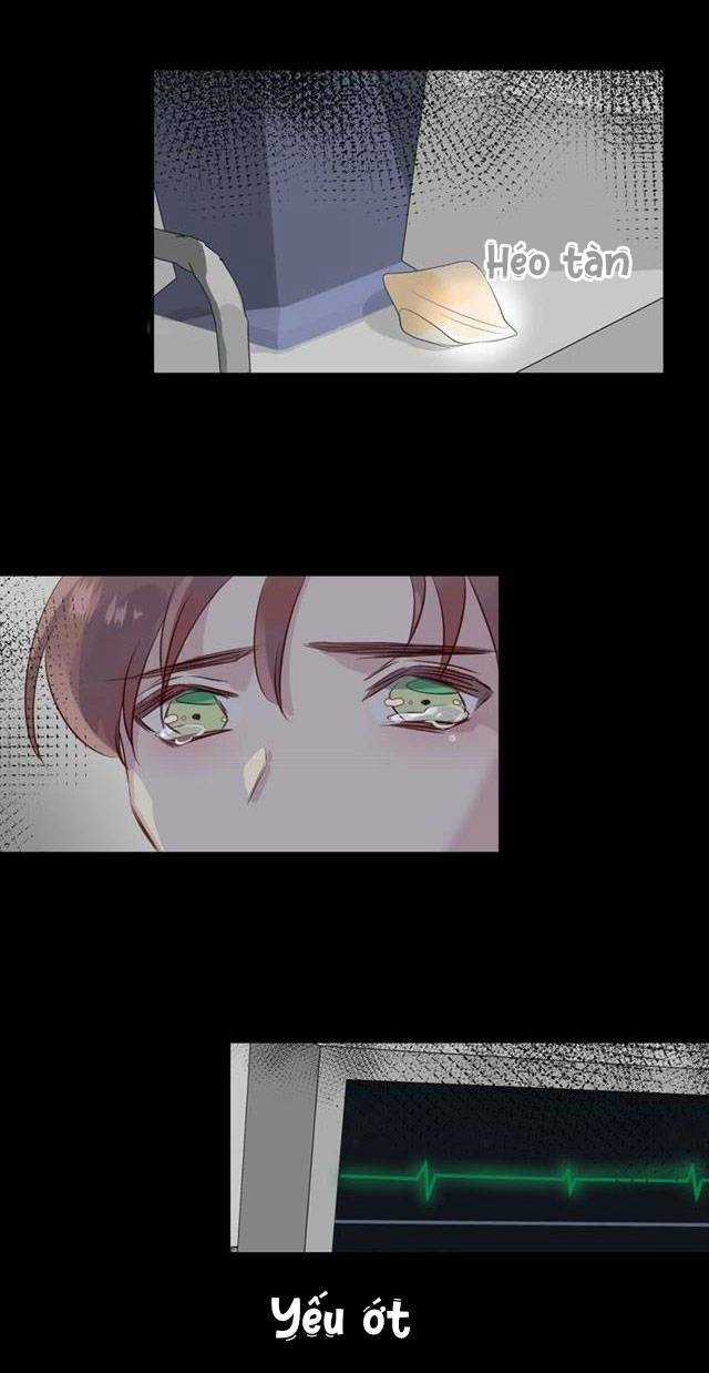 Chiếc Váy Của Người Cá - Chapter 41 - Trang 4