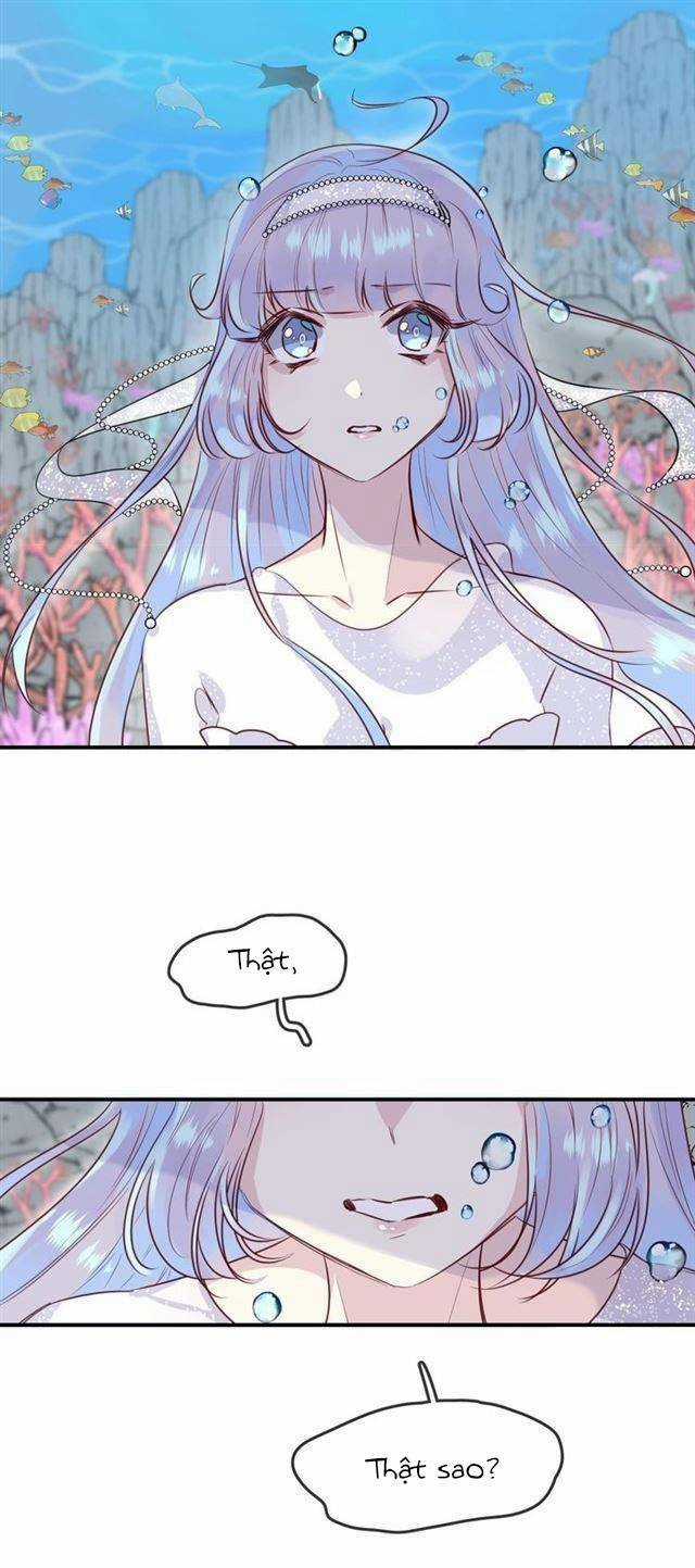 Chiếc Váy Của Người Cá - Chapter 43 - Trang 1