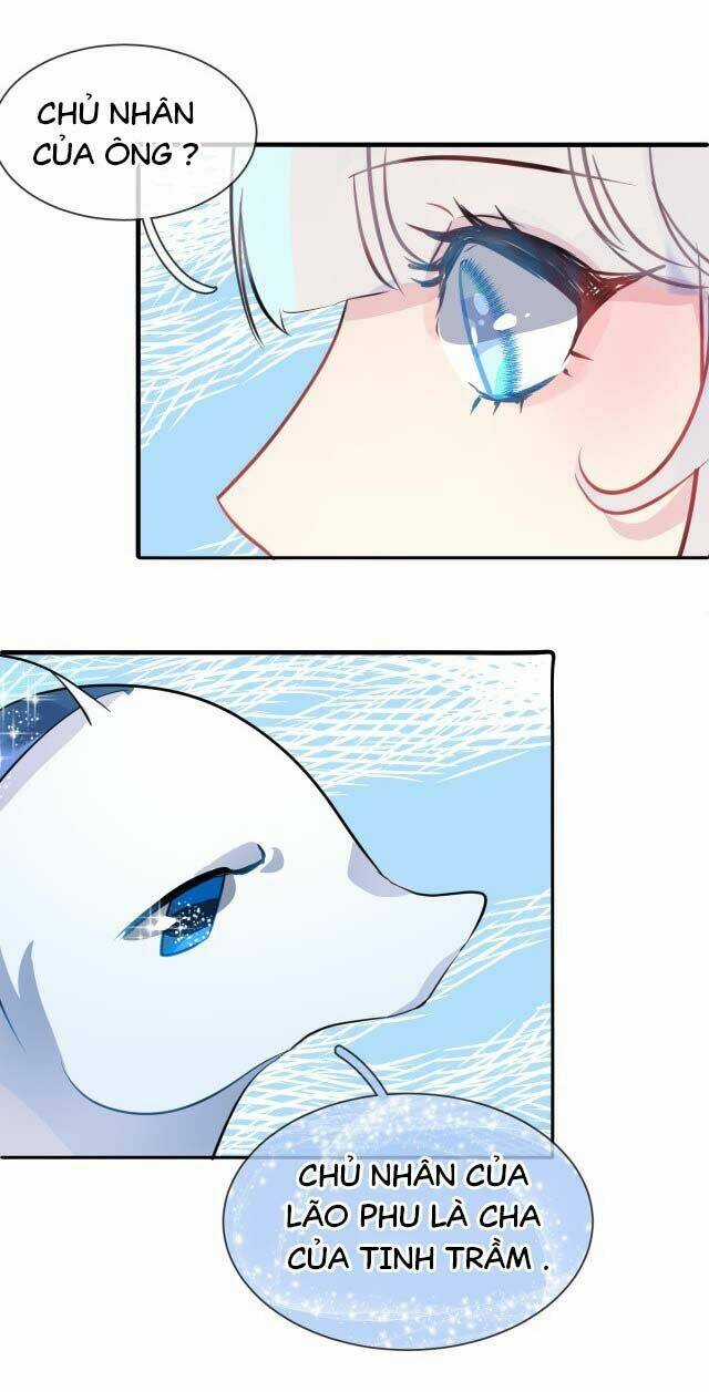 Chiếc Váy Của Người Cá - Chapter 5 - Trang 17