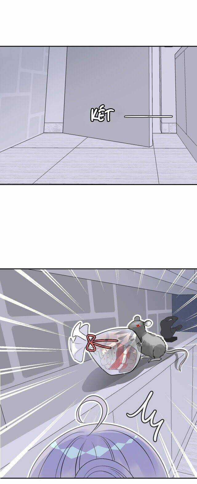 Chiếc Váy Của Người Cá - Chapter 8 - Trang 12