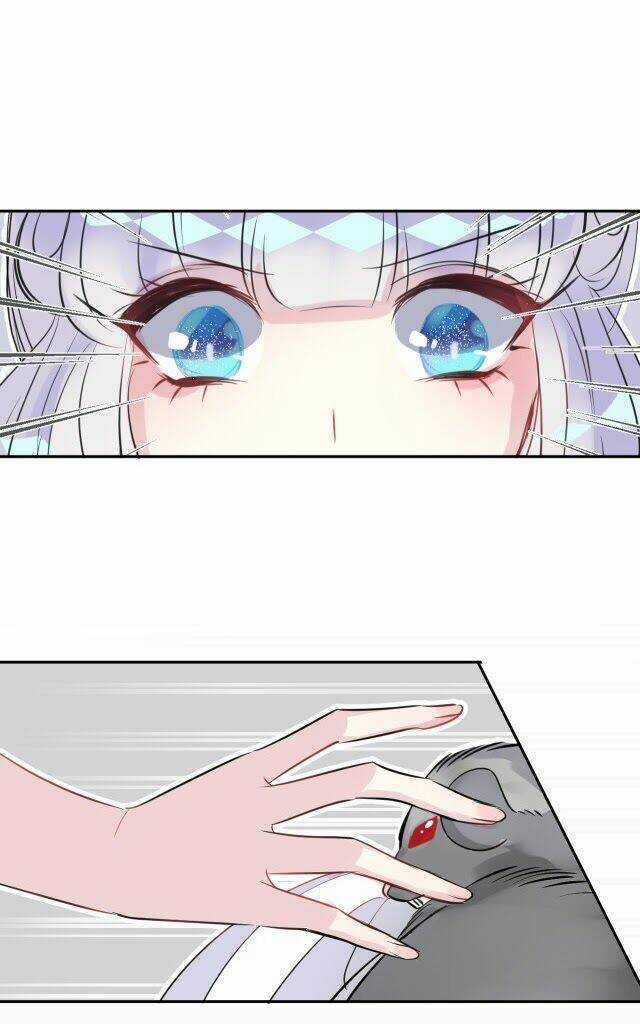 Chiếc Váy Của Người Cá - Chapter 8 - Trang 13