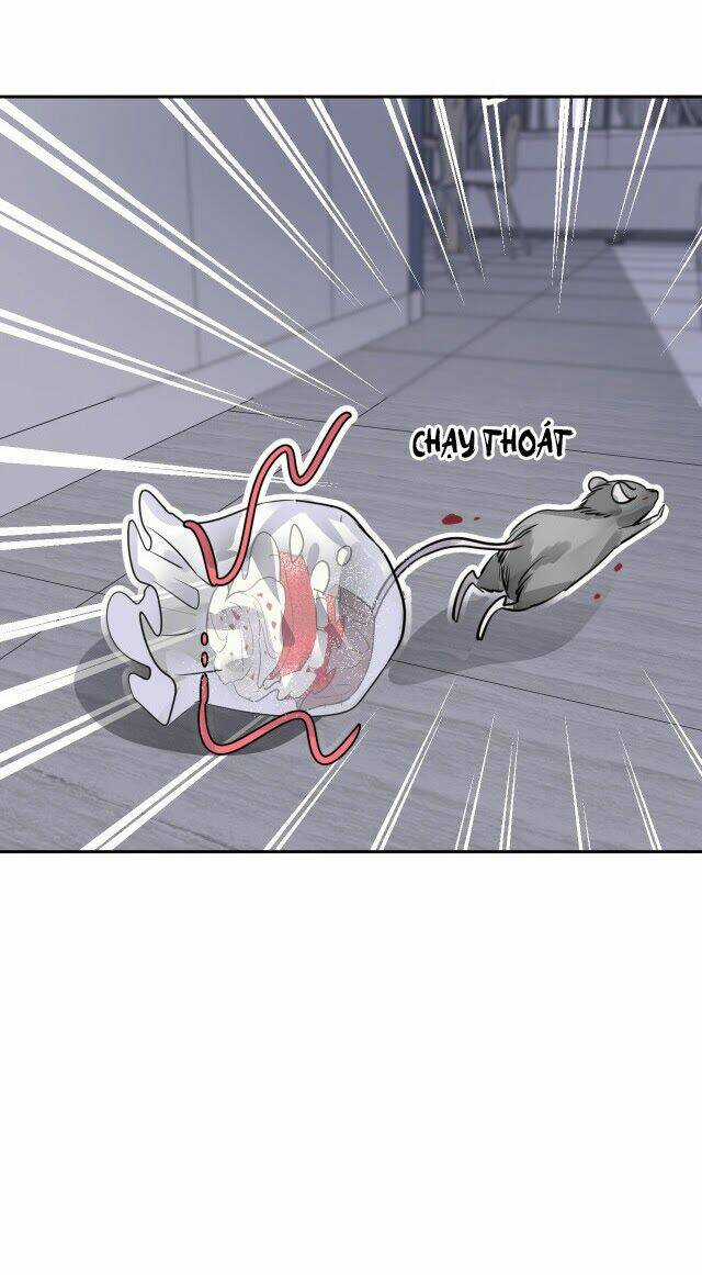 Chiếc Váy Của Người Cá - Chapter 8 - Trang 15