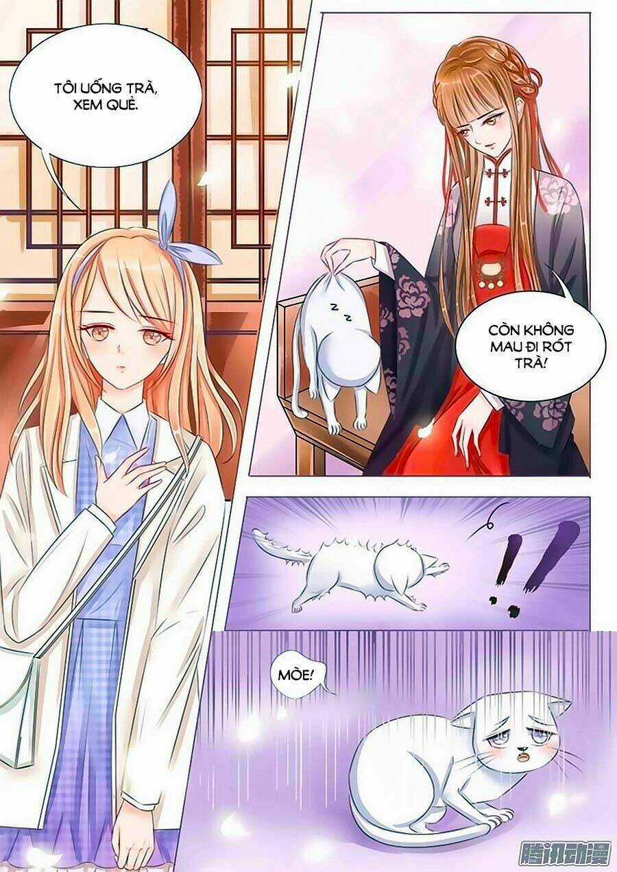 Chiêm Cốt Sư - Chapter 1 - Trang 7