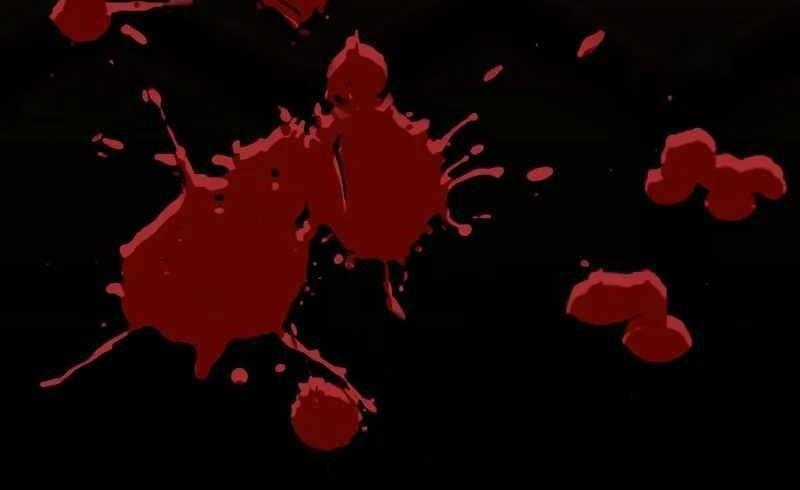 Chiến Binh Máu Lạnh - Chapter 33 - Trang 248