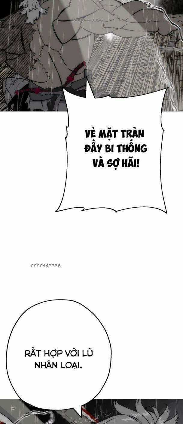 Chiến Binh Quật Cường - Chapter 113 - Trang 5