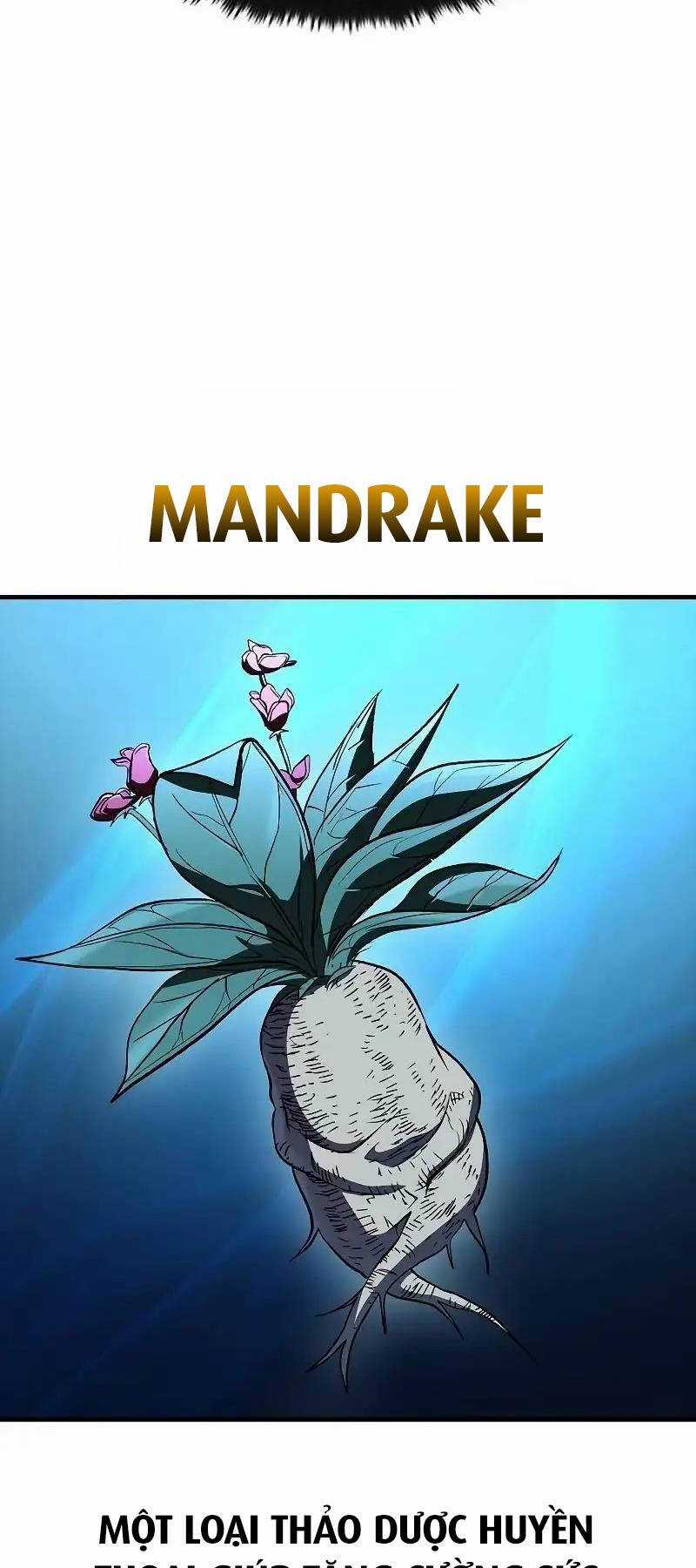 Chiến Binh Thôn Phệ Xác Chết - Chapter 29 - Trang 66