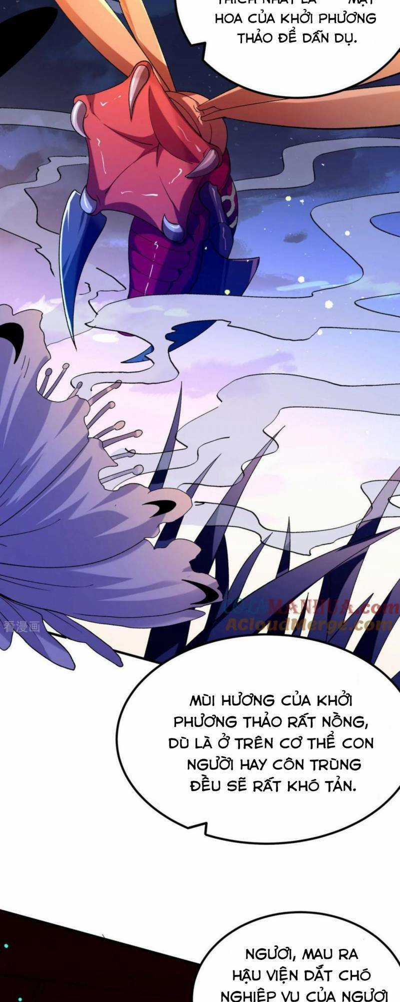 Chiến Thần Bất Tử - Chapter 31 - Trang 12