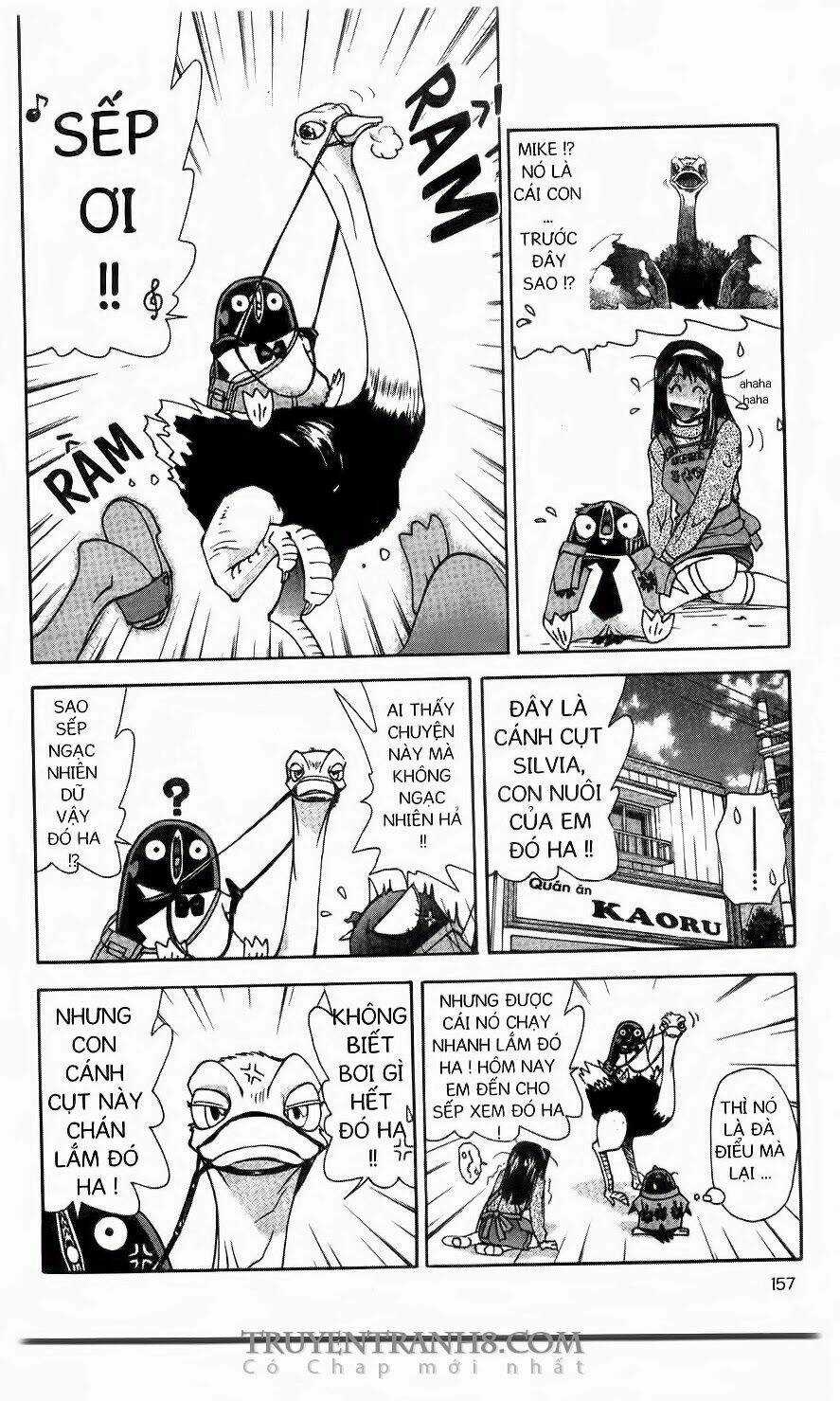 Chim Cánh Cụt Ginji - Chapter 42 - Trang 8