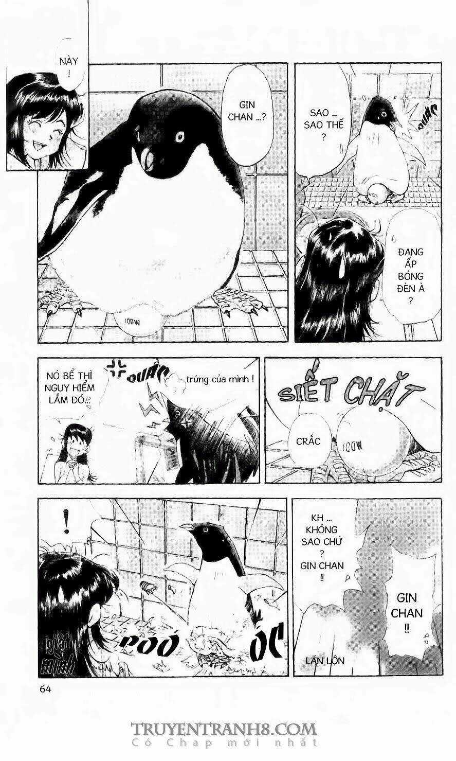 Chim Cánh Cụt Ginji - Chapter 56 - Trang 7