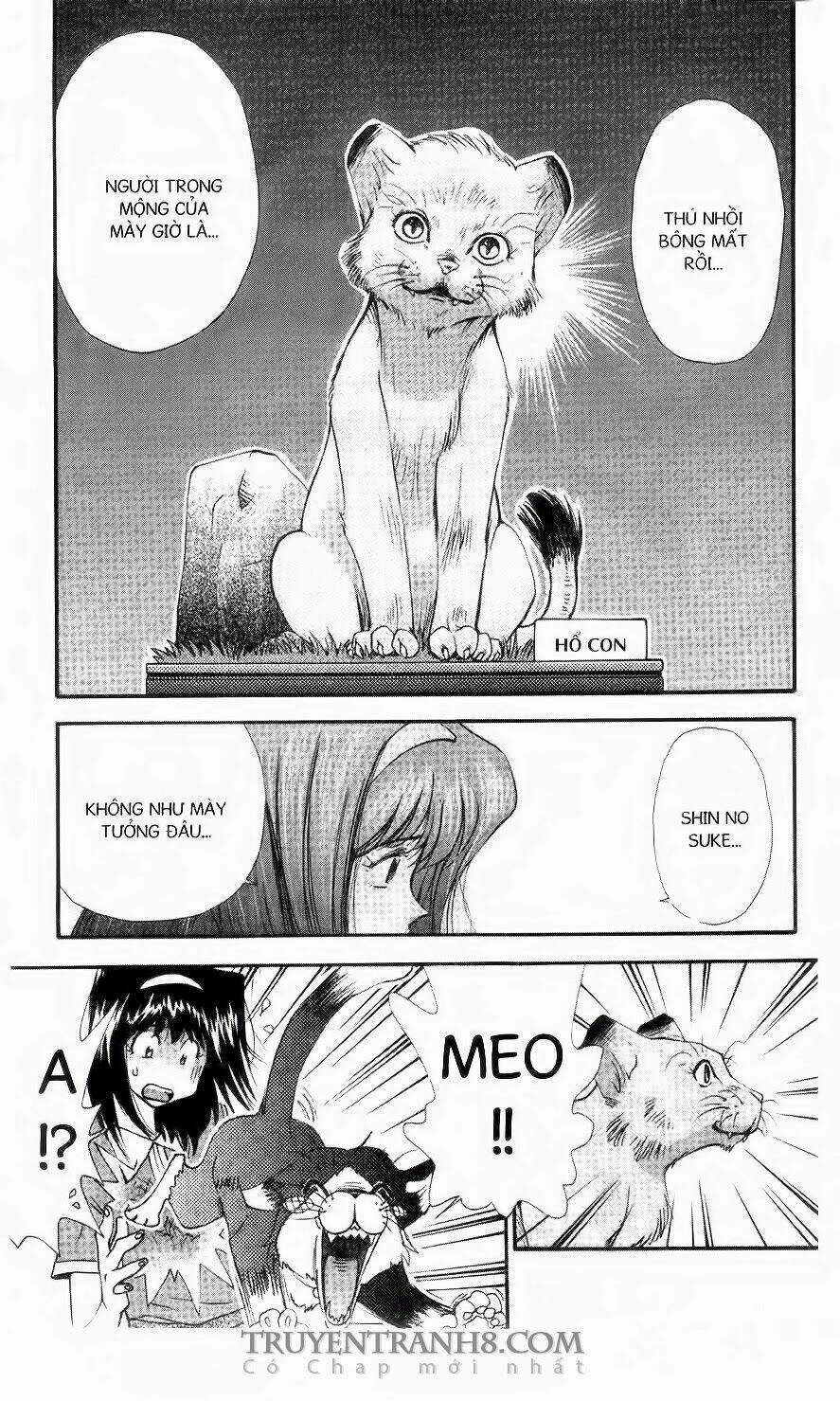 Chim Cánh Cụt Ginji - Chapter 58 - Trang 19