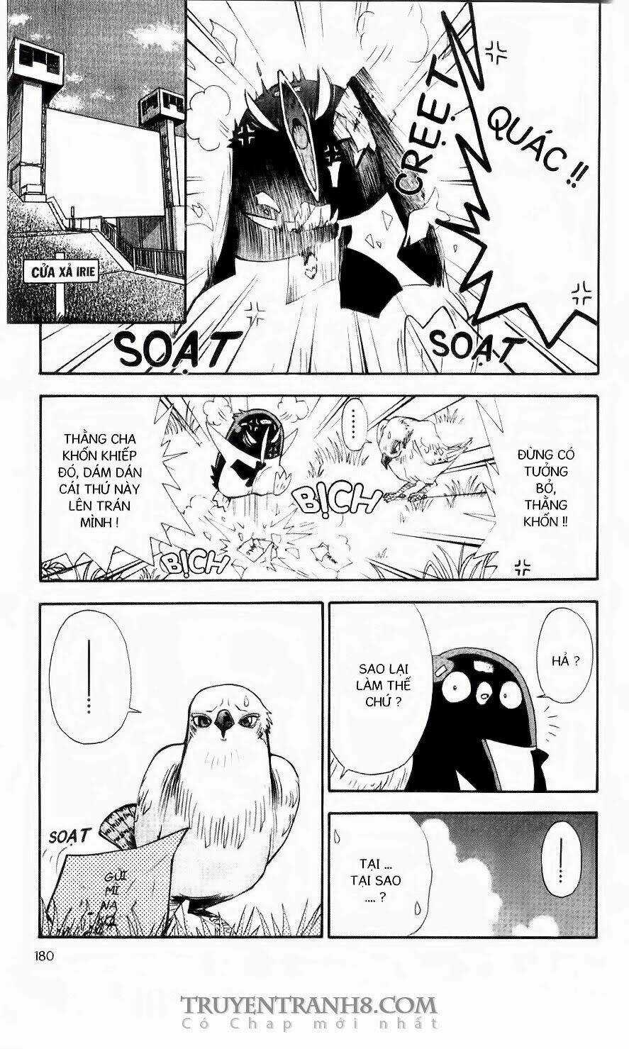 Chim Cánh Cụt Ginji - Chapter 71 - Trang 13