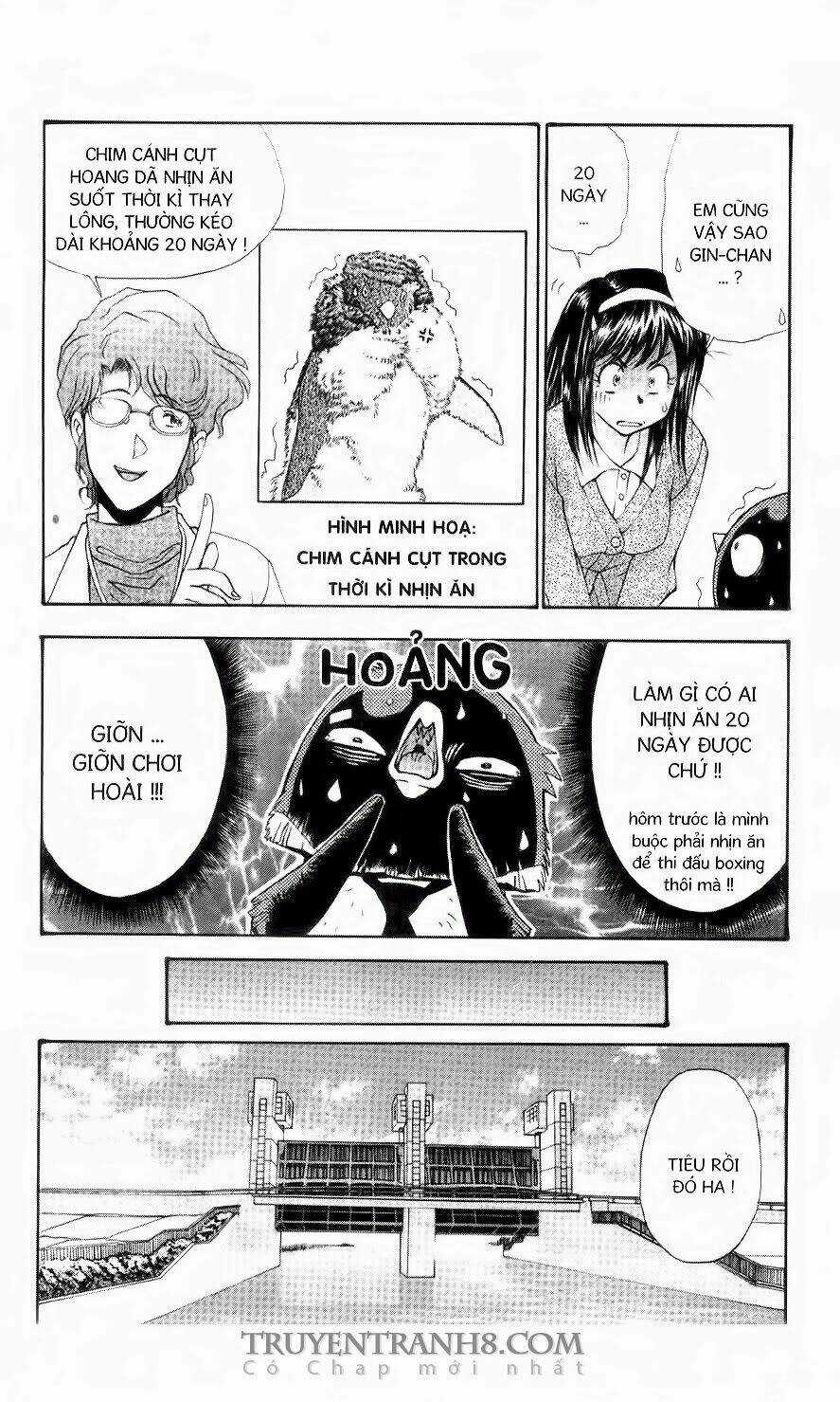 Chim Cánh Cụt Ginji - Chapter 79 - Trang 15