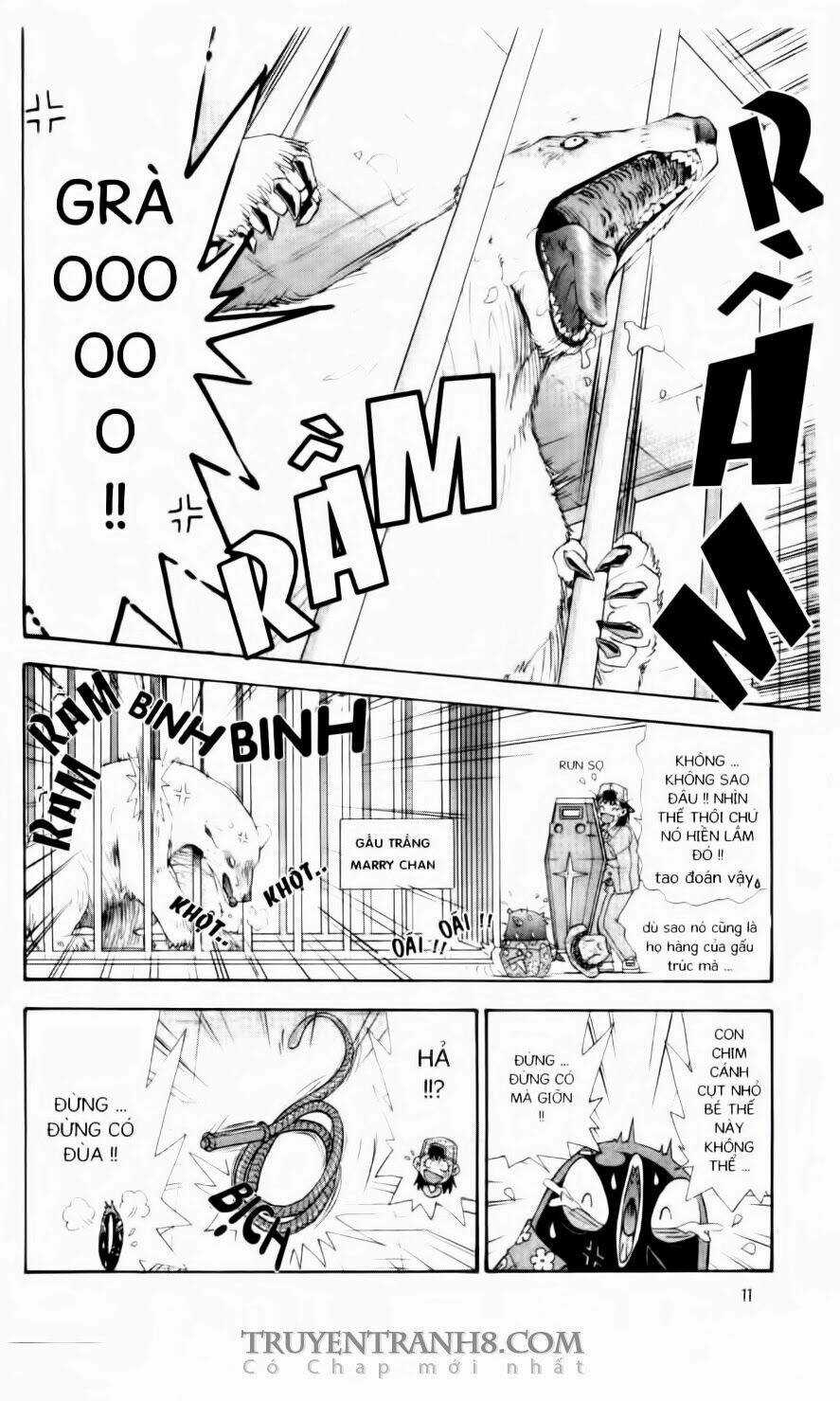 Chim Cánh Cụt Ginji - Chapter 81 - Trang 10