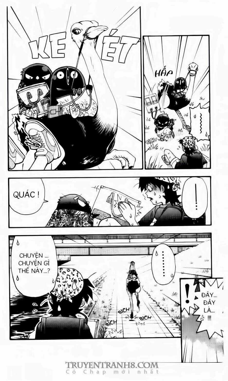 Chim Cánh Cụt Ginji - Chapter 90 - Trang 20