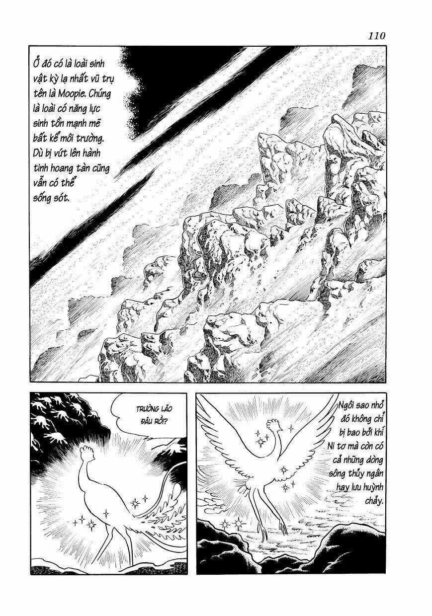 Chim Lửa - Chapter 67 - Trang 16