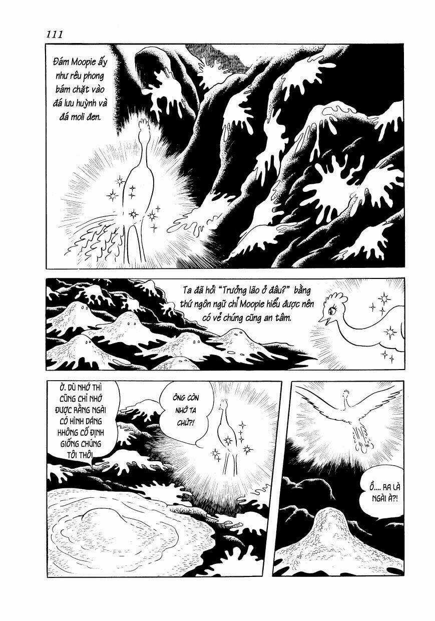 Chim Lửa - Chapter 67 - Trang 17