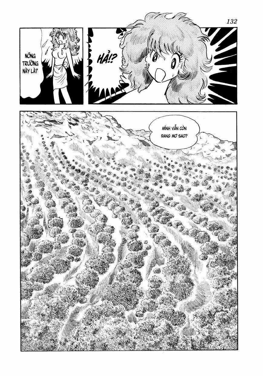 Chim Lửa - Chapter 67 - Trang 38