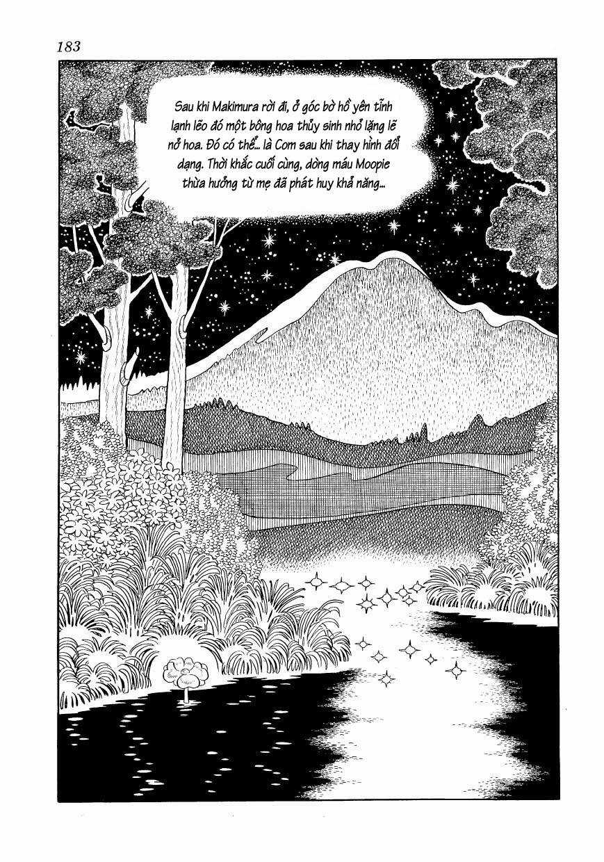 Chim Lửa - Chapter 76 - Trang 13